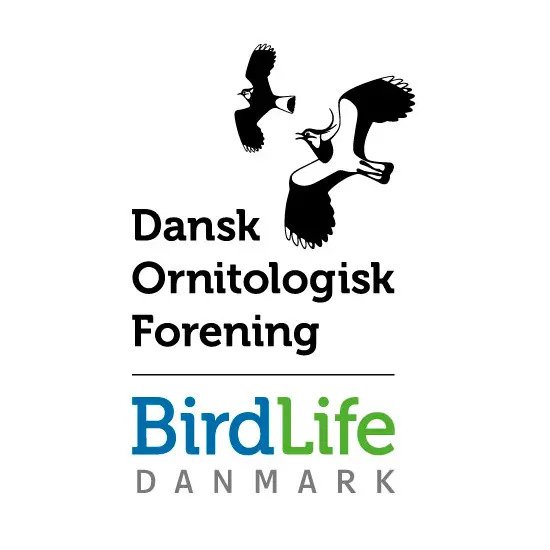 Dansk Ornitologisk Forening